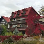 Goscinne Cykada